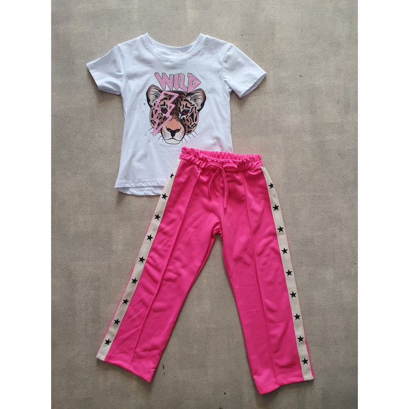 Fashion star (All season) rose 